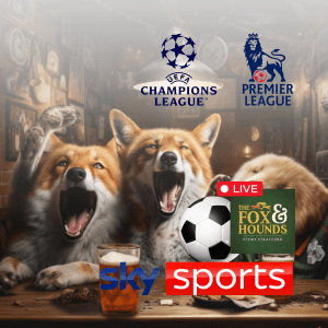 Football at the fox