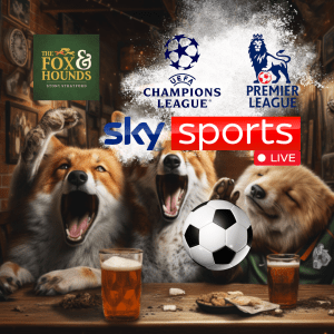 Football at the fox