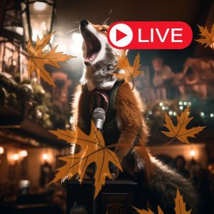 Live Music @ The Fox